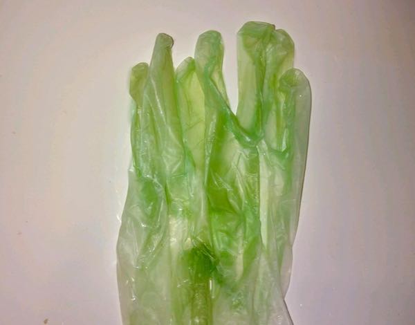 ヘナヘナのナチュラル（ヘンナのみ）で毛染めした後の手袋の色が緑になったことを示す写真