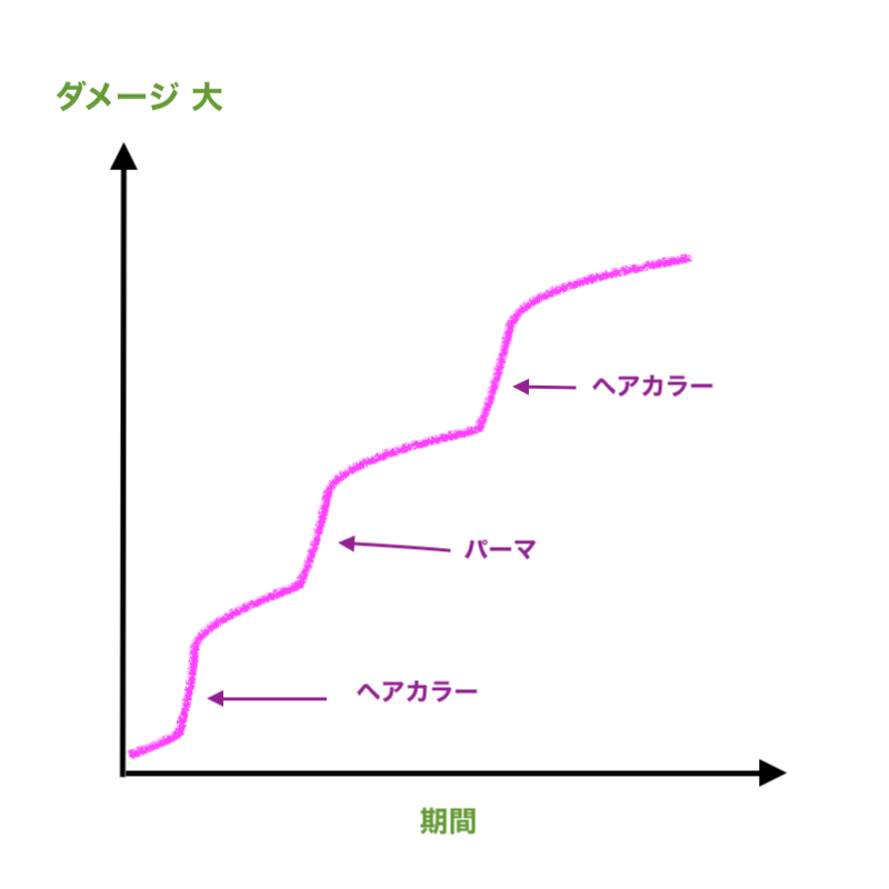 髪の傷みの例