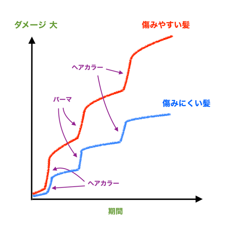 髪の傷み具合には個人差があります