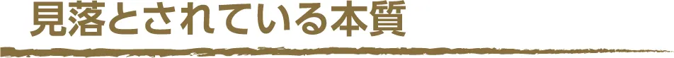 (タイトル)見落とされている本質