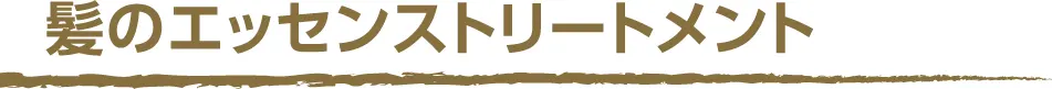 (タイトル)髪のエッセンストリートメント