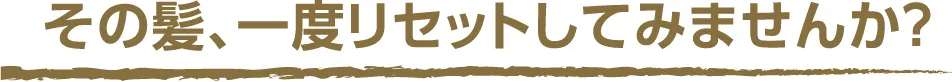 (タイトル)その髪、一度リセットしてみませんか?